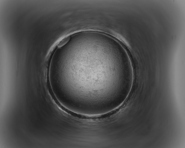 X0000084531504200703021408
