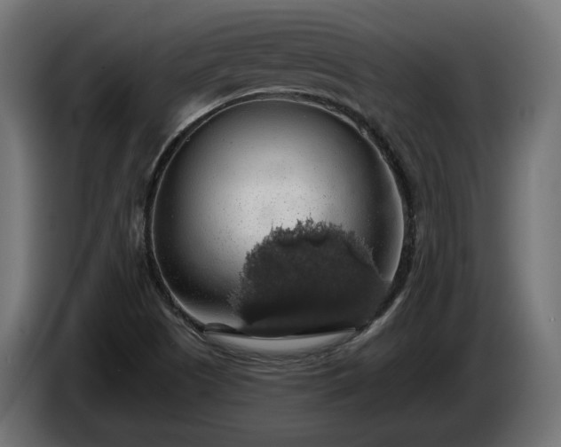 X0000084531505200703021408