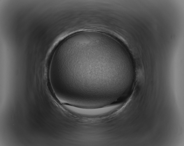 X0000084531506200703021408