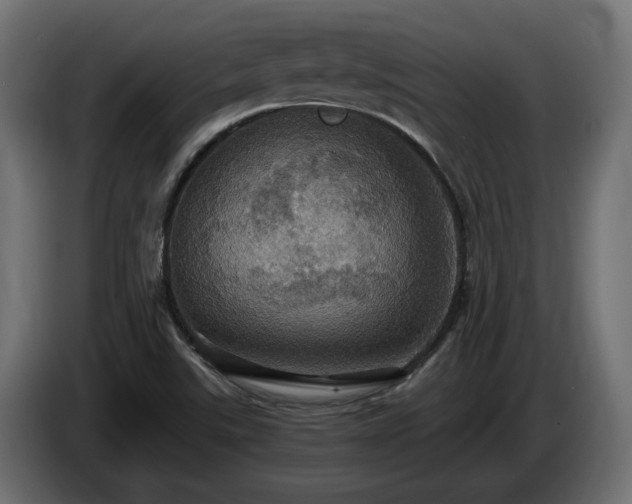 X0000084531507200703021408