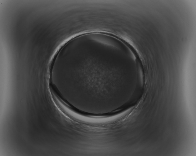 X0000084531508200703021408