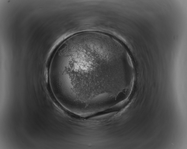 X0000084531509200703021408