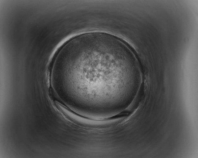 X0000084531510200703021408
