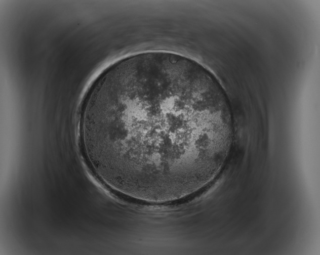 X0000084531511200703021408