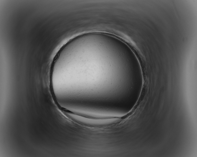 X0000084531512200703021408