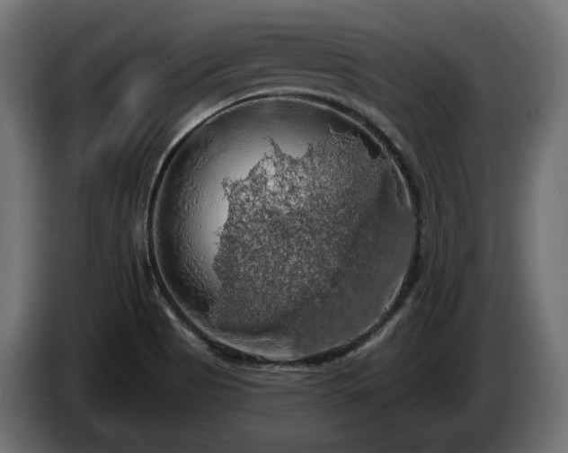 X0000084531513200703021408