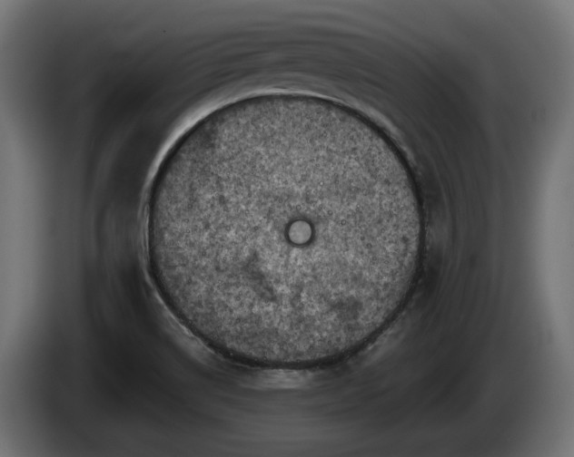 X0000084531514200703021408