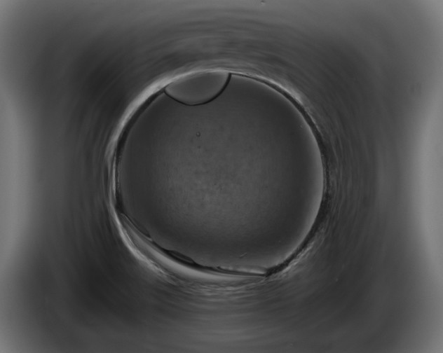 X0000084531515200703021408