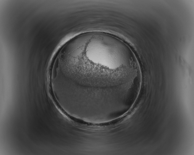 X0000084531517200703021408