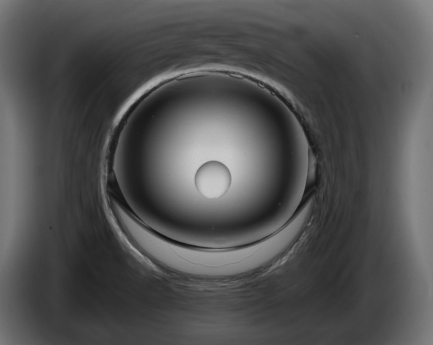 X0000084531518200703021408
