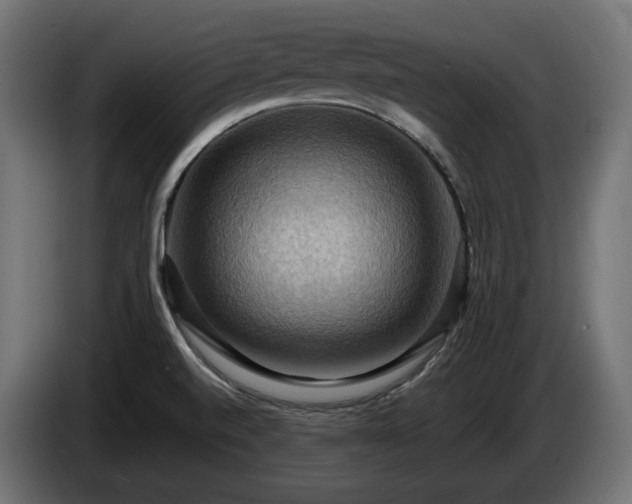 X0000084531520200703021408