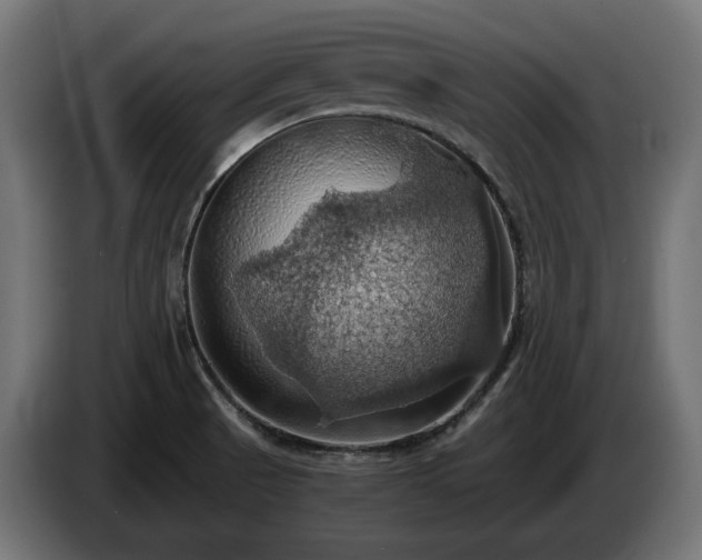 X0000084531521200703021408