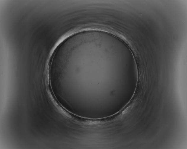 X0000084531522200703021408