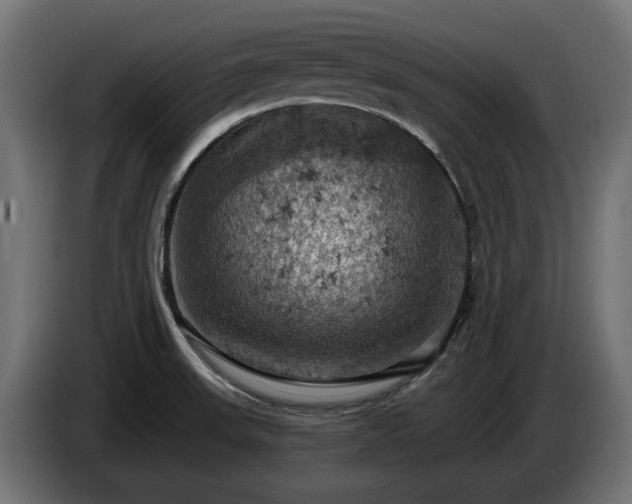 X0000084531523200703021408
