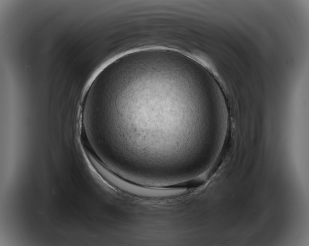 X0000084531524200703021408