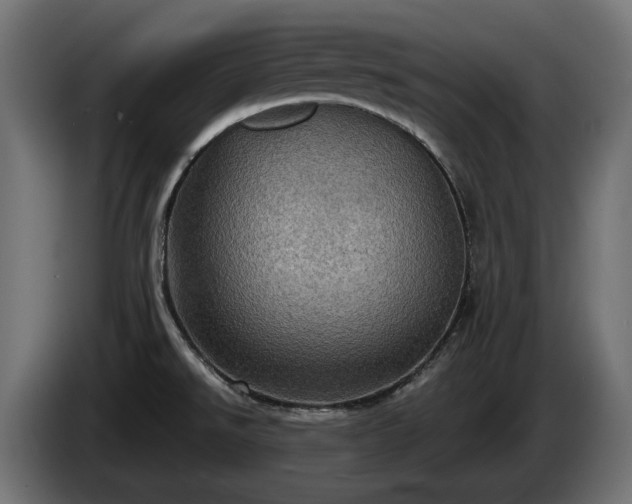 X0000084531526200703021408