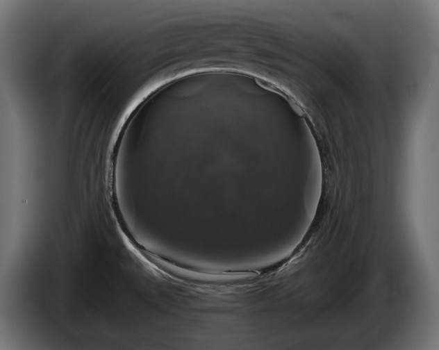 X0000084531527200703021409