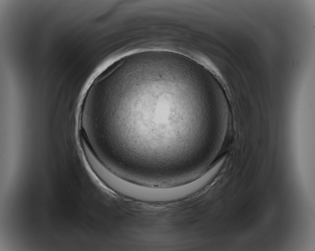 X0000084531528200703021409