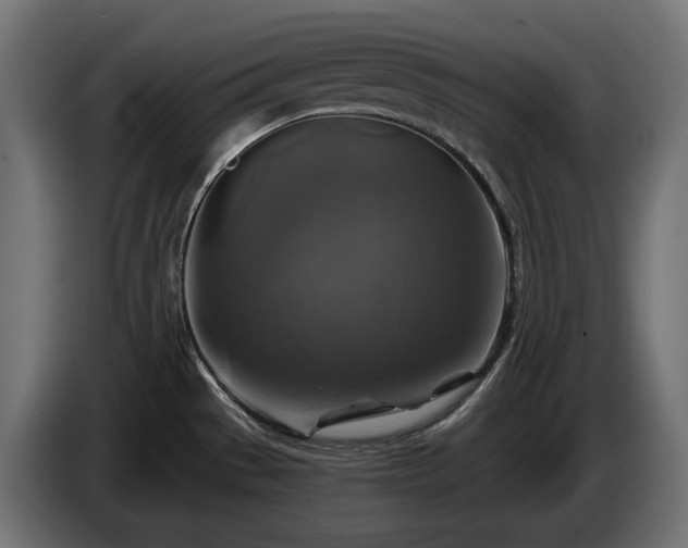 X0000084531529200703021409