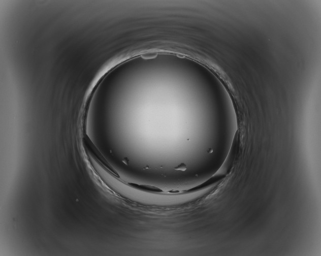 X0000084531530200703021409