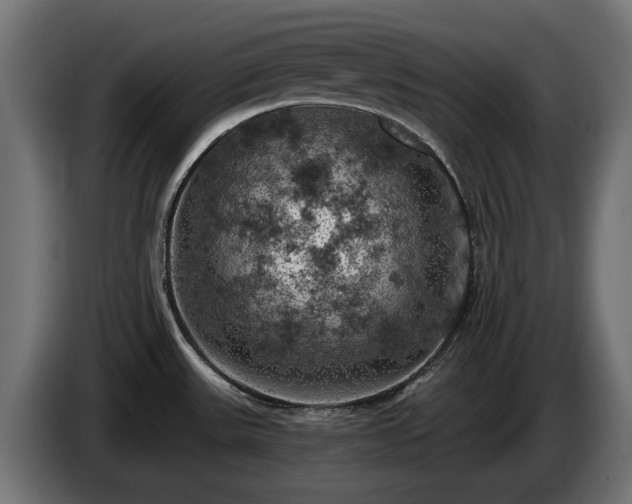 X0000084531531200703021409