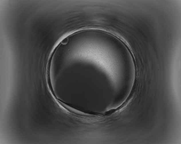 X0000084531533200703021409