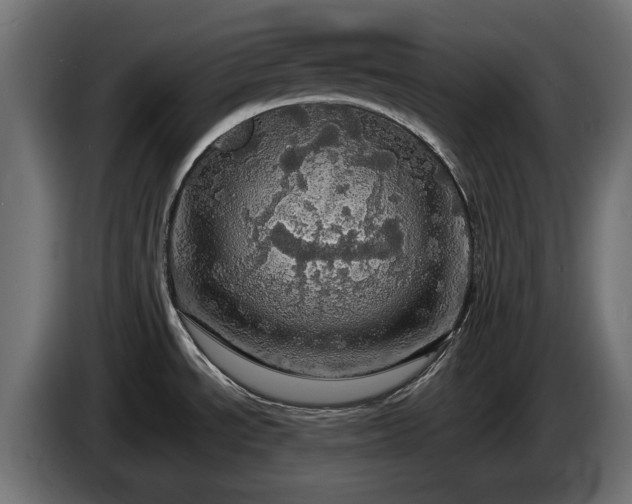 X0000084531534200703021409