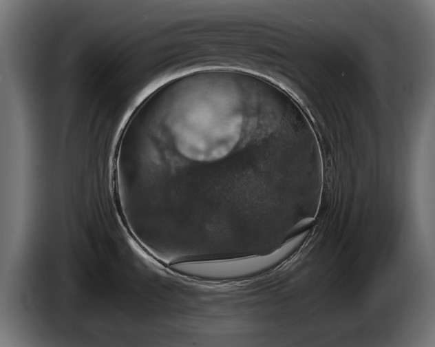 X0000084531535200703021409