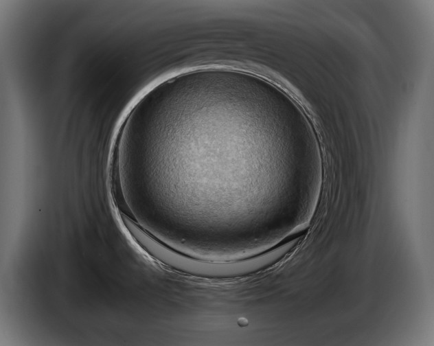 X0000084531536200703021409