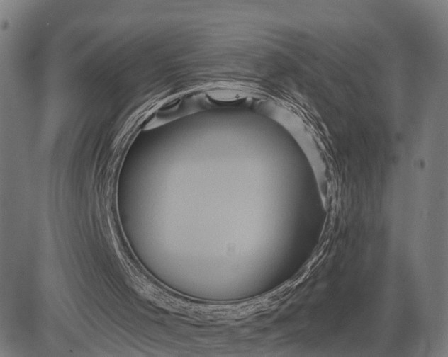 X0000084530001200703091640