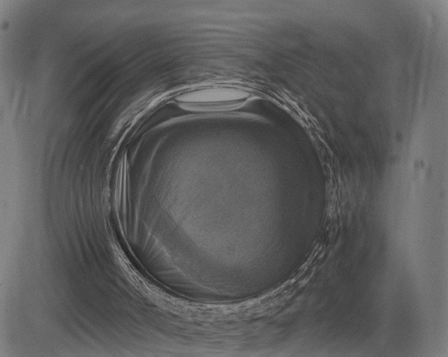 X0000084530002200703091640