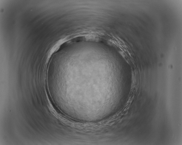 X0000084530003200703091640