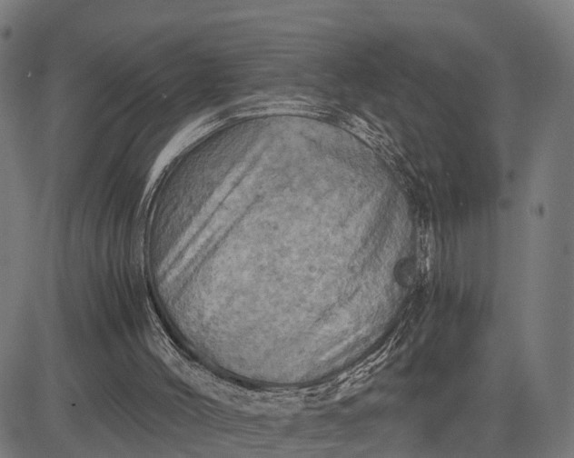 X0000084530004200703091640