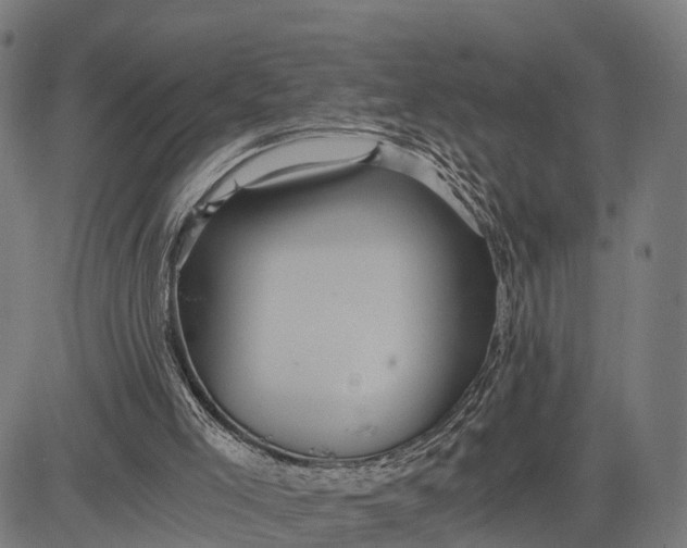 X0000084530005200703091640