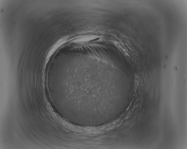 X0000084530006200703091640