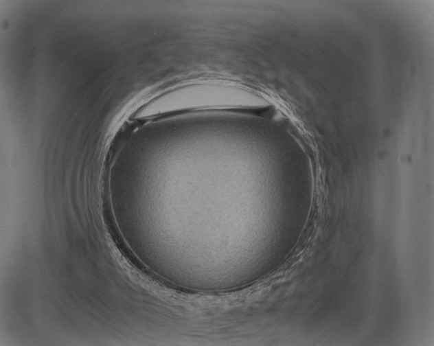 X0000084530007200703091640