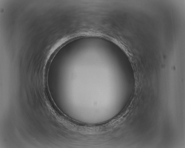 X0000084530008200703091640