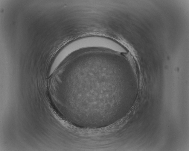 X0000084530009200703091640