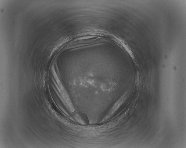 X0000084530010200703091640