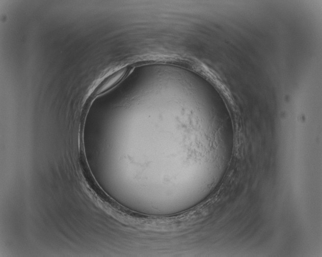 X0000084530011200703091640