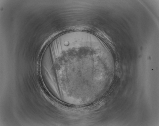 X0000084530012200703091640