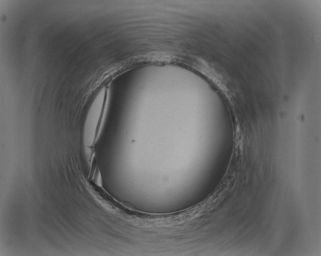 X0000084530013200703091640