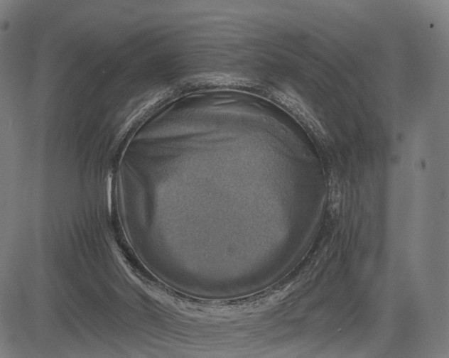 X0000084530014200703091640