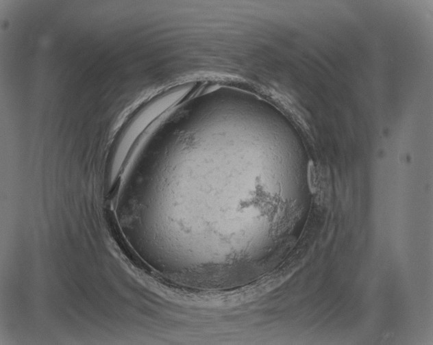 X0000084530015200703091640