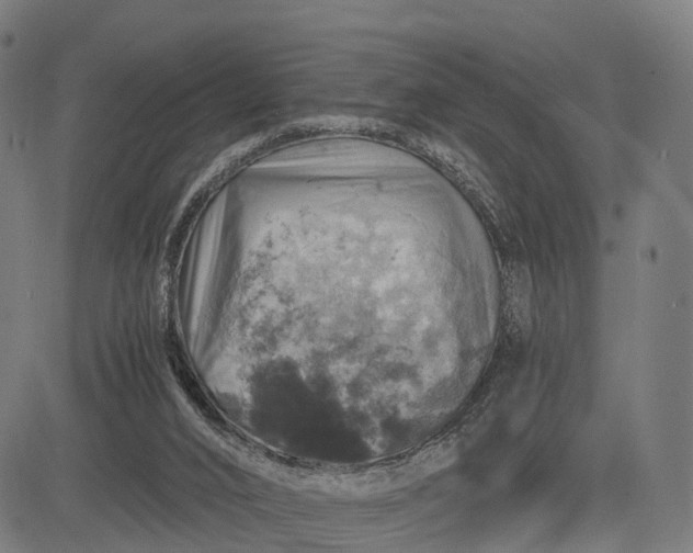 X0000084530016200703091640