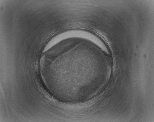 X0000084530017200703091640