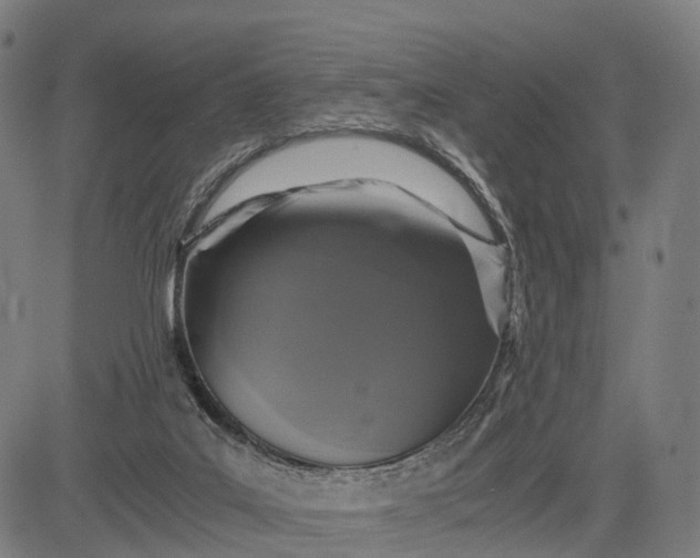 X0000084530019200703091640