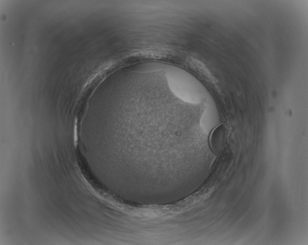 X0000084530020200703091640