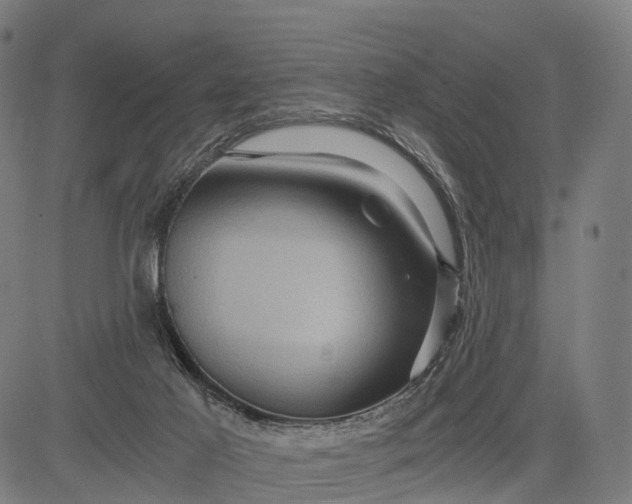 X0000084530021200703091640