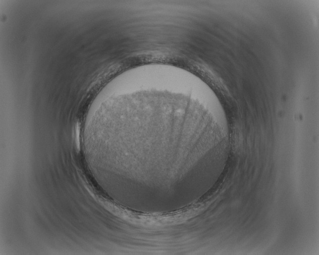 X0000084530022200703091639